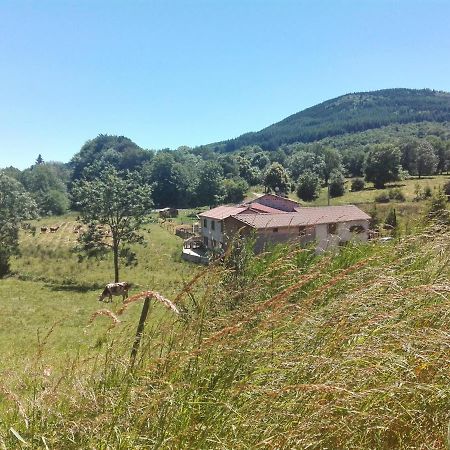 Le Moulin De La Fortie, Maison D'Hotes Bed and Breakfast Viscomtat Esterno foto