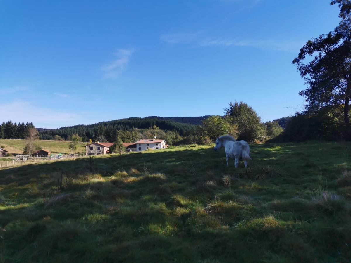 Le Moulin De La Fortie, Maison D'Hotes Bed and Breakfast Viscomtat Esterno foto