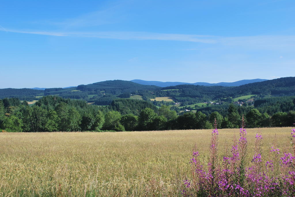 Le Moulin De La Fortie, Maison D'Hotes Bed and Breakfast Viscomtat Esterno foto