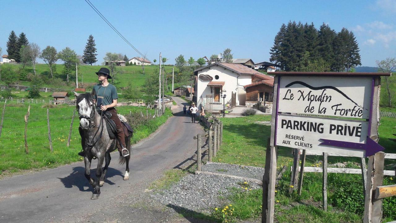 Le Moulin De La Fortie, Maison D'Hotes Bed and Breakfast Viscomtat Esterno foto